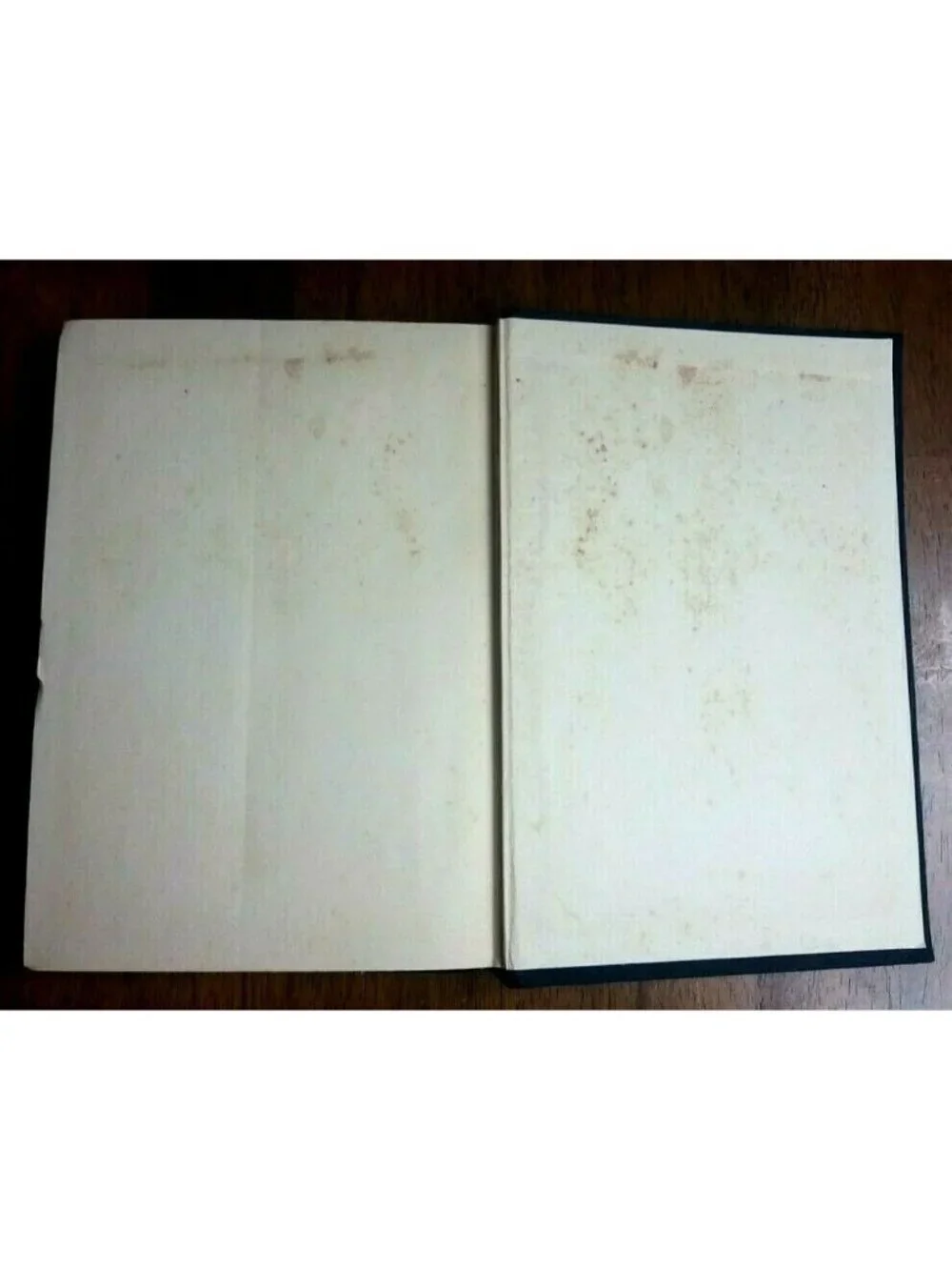 PILGRIMS PROGRESS and THE HOLY WAR Book John Bunyan Puritan Publishing Rare 1934